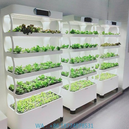ระบบปลูกพืชไฮโดรโปนิกอัตโนมัติ - Home Automation Systems Diy บทวิจารณ์และราคา