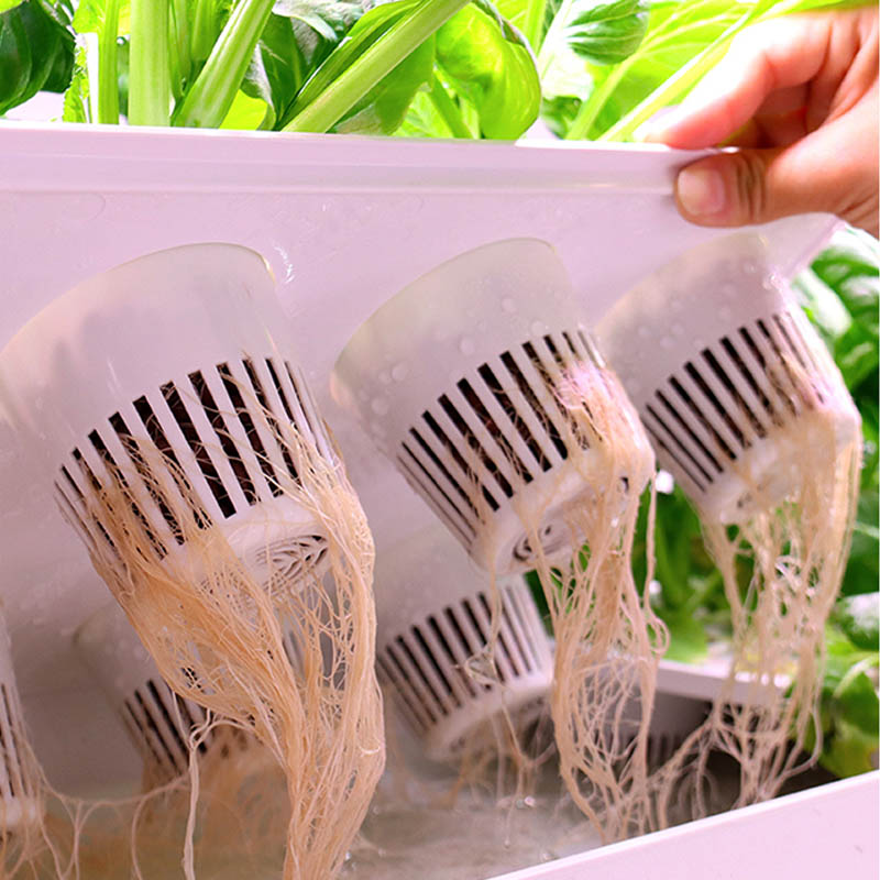 ระบบปลูกพืชไฮโดรโปนิกส์ ระบบอั - Home Automation Systems Diy บทวิจารณ์และราคา